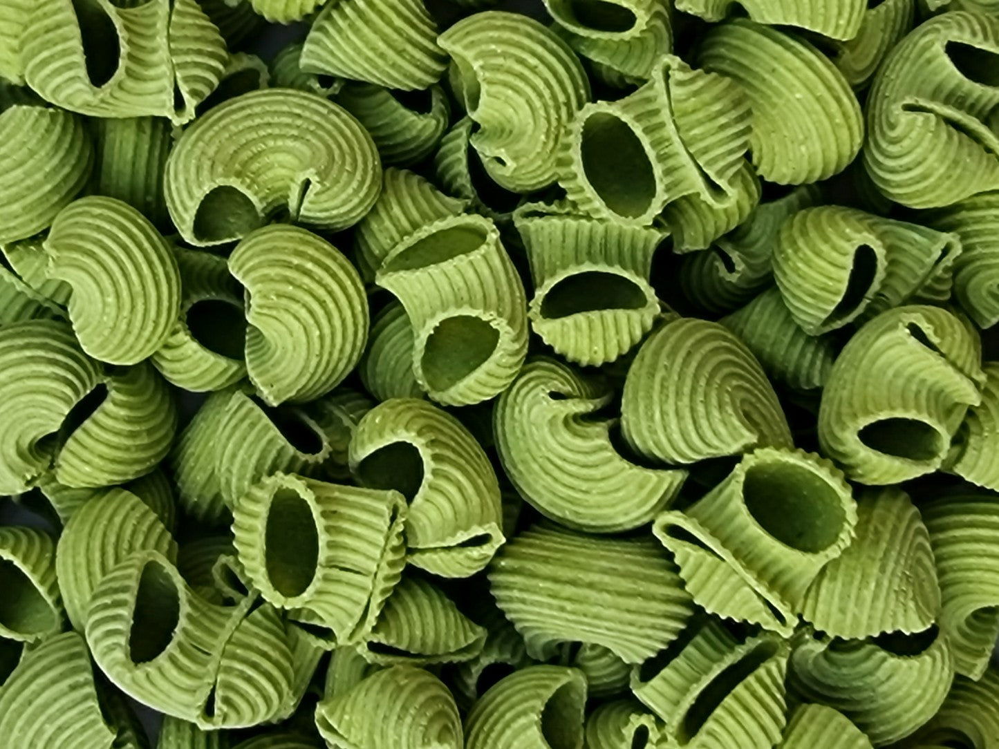 Little Spinach Maccheroni
