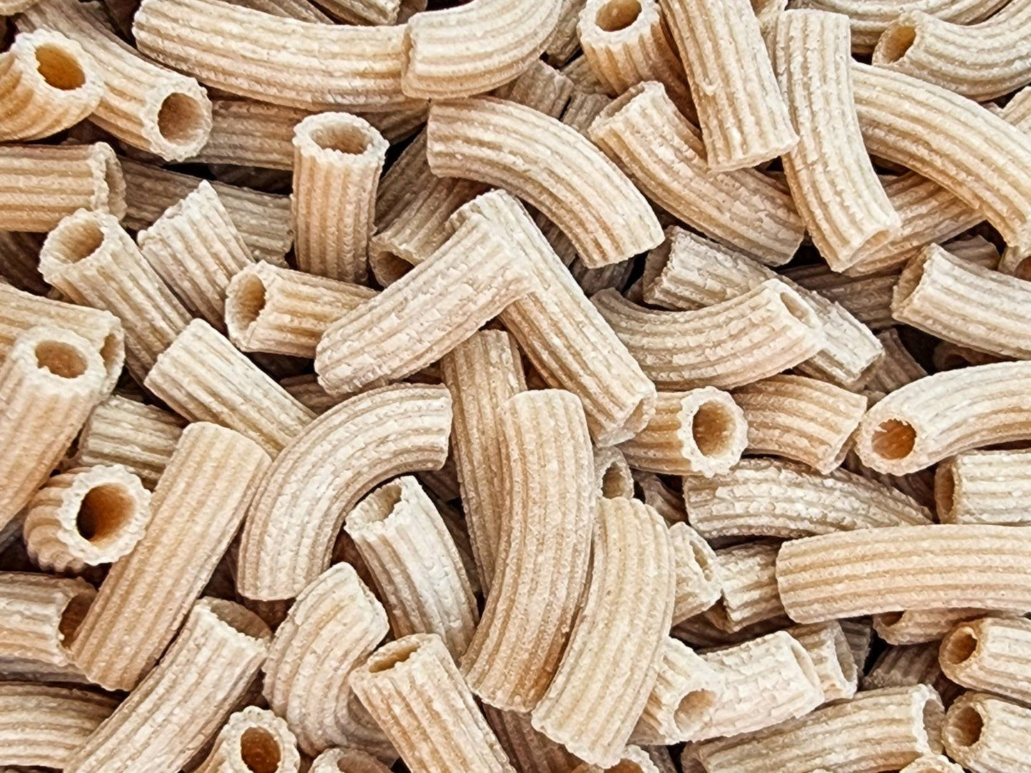 Little Whole Wheat Rigatoni